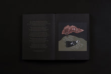 Load image into Gallery viewer, Dark Inspirations: 20th Anniversary Edition