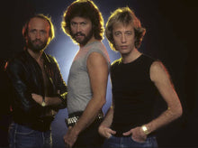 Load image into Gallery viewer, Mario Casilli