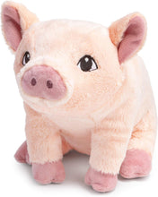Load image into Gallery viewer, Flying Pig Plush Animal Companion to the Book "Maybe"