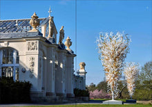 Load image into Gallery viewer, Chihuly and Architecture