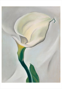 Georgia O'Keeffe Paintings Boxed Notecard Assortment
