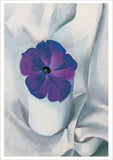 Georgia O'Keeffe: Petunias Notecard Folio