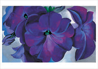 Load image into Gallery viewer, Georgia O&#39;Keeffe: Petunias Notecard Folio