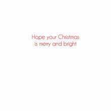 Load image into Gallery viewer, Caspari Christmas Flamingo Boxed Cards