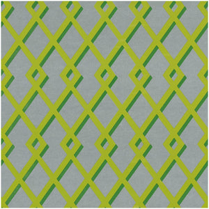 Caspari Trellis Green & Silver Foil Gift Wrapping Paper - 30 x 6 Roll