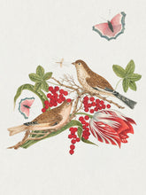 Load image into Gallery viewer, Flowers, Birds &amp; Butterflies Celebrations Boxed Notecards