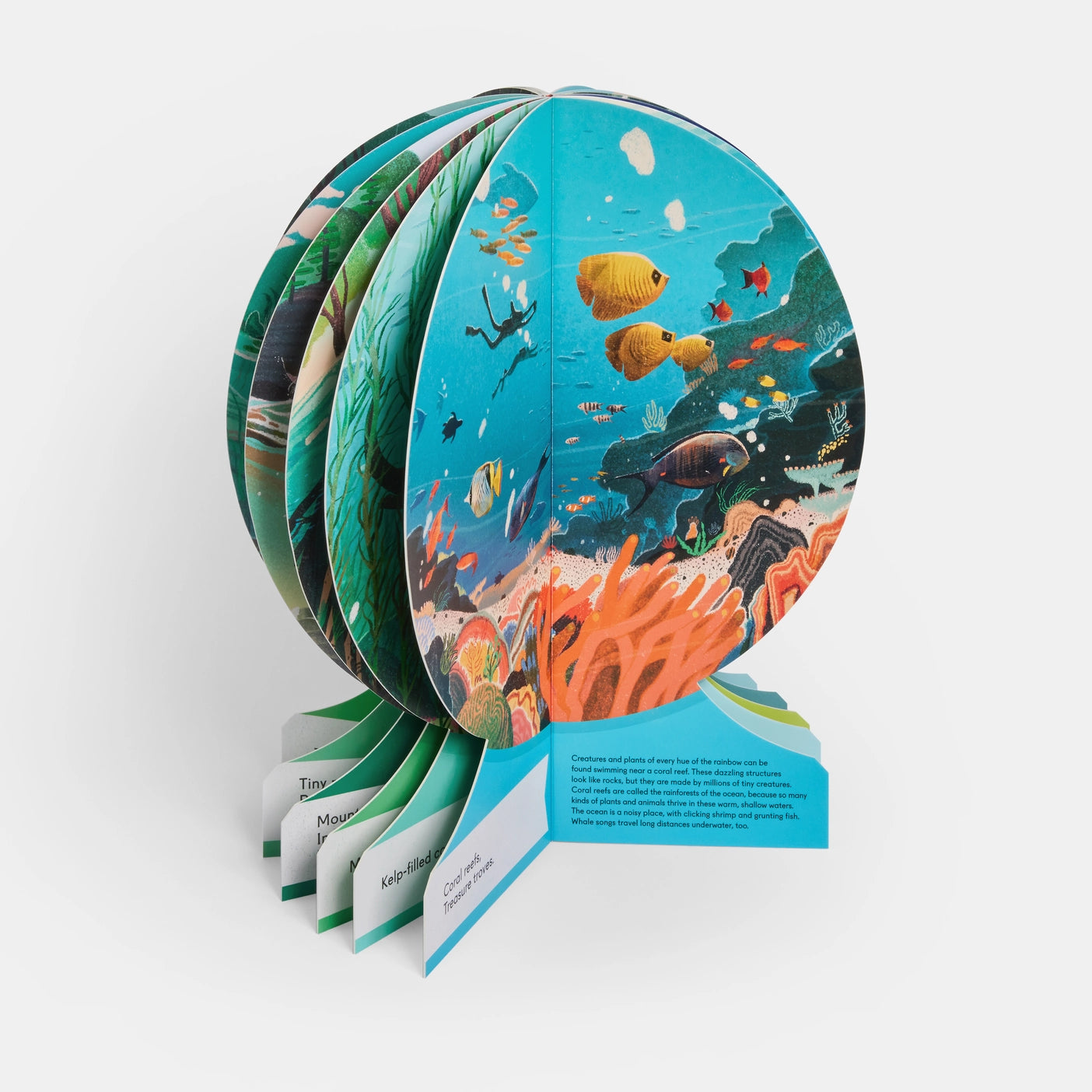 Nonesuch Books & More  Water Wow! - Under the Sea Water Reveal Pad