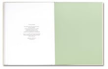 Load image into Gallery viewer, The Virgin Suicides