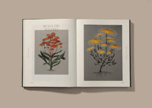 Load image into Gallery viewer, Botanical Inspiration: Nature in Art &amp; Illustration