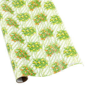 Caspari Citrus Topiaries Gift Wrap - 30" x 8' Roll