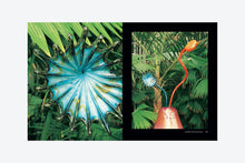 Load image into Gallery viewer, Chihuly Garden Installations